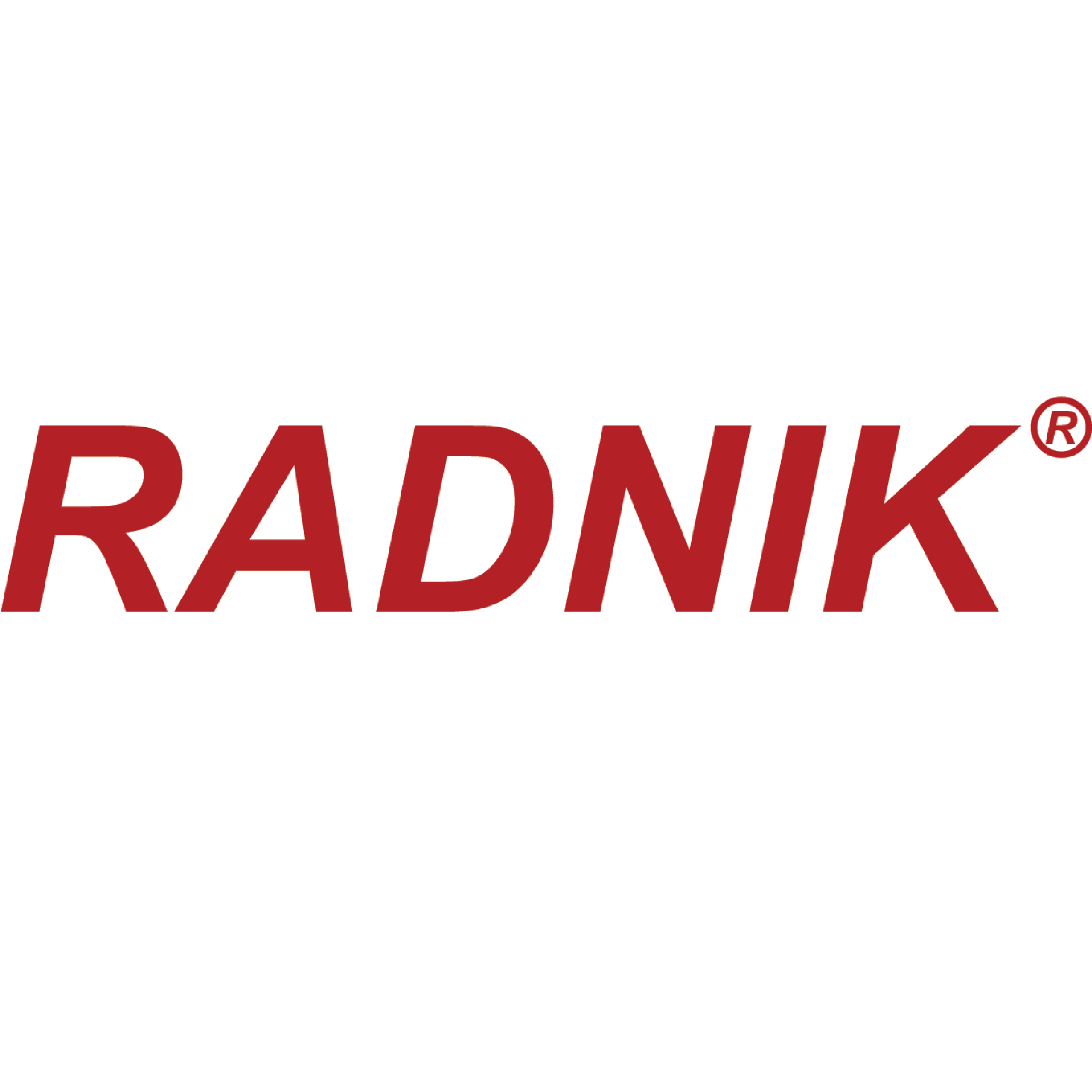 Radnik Auto Exports logo