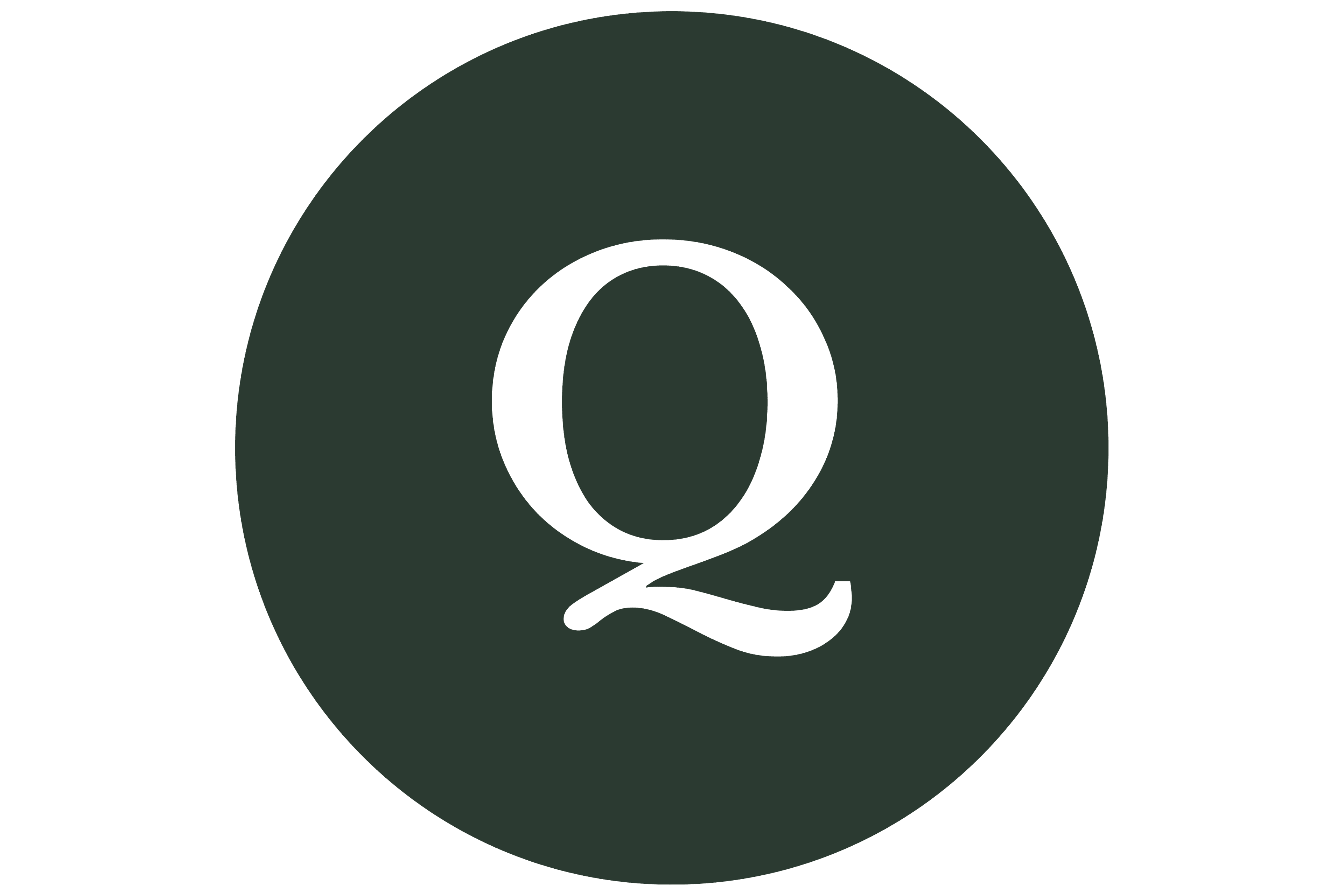 Project Q GmbH