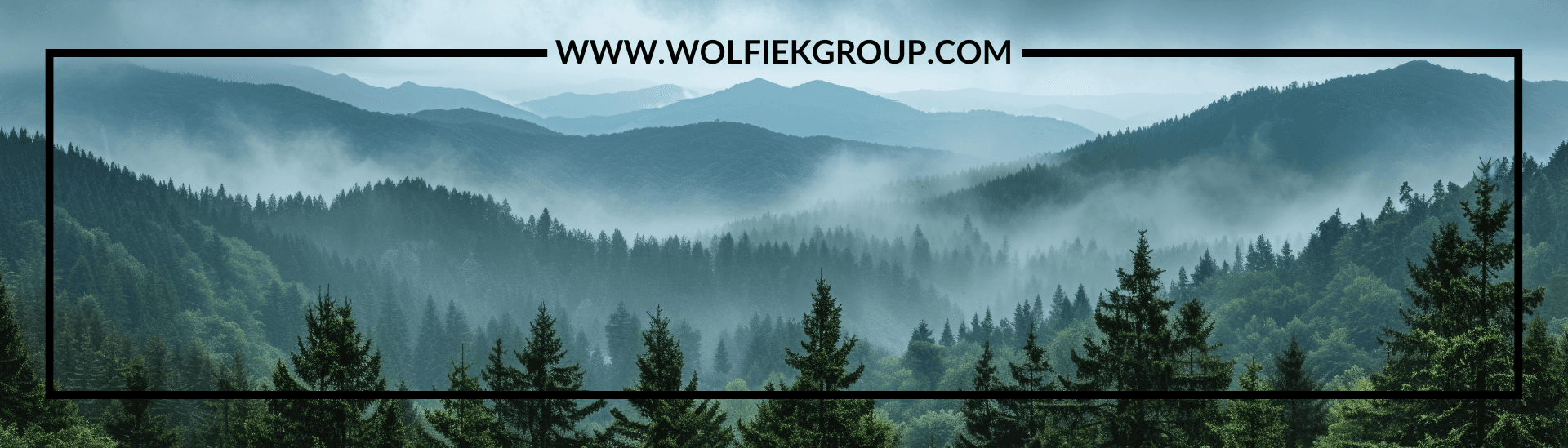 Wolfiek Group