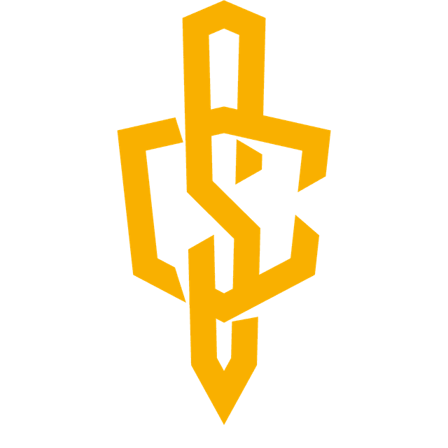 COMBAT SYSTEMS logo