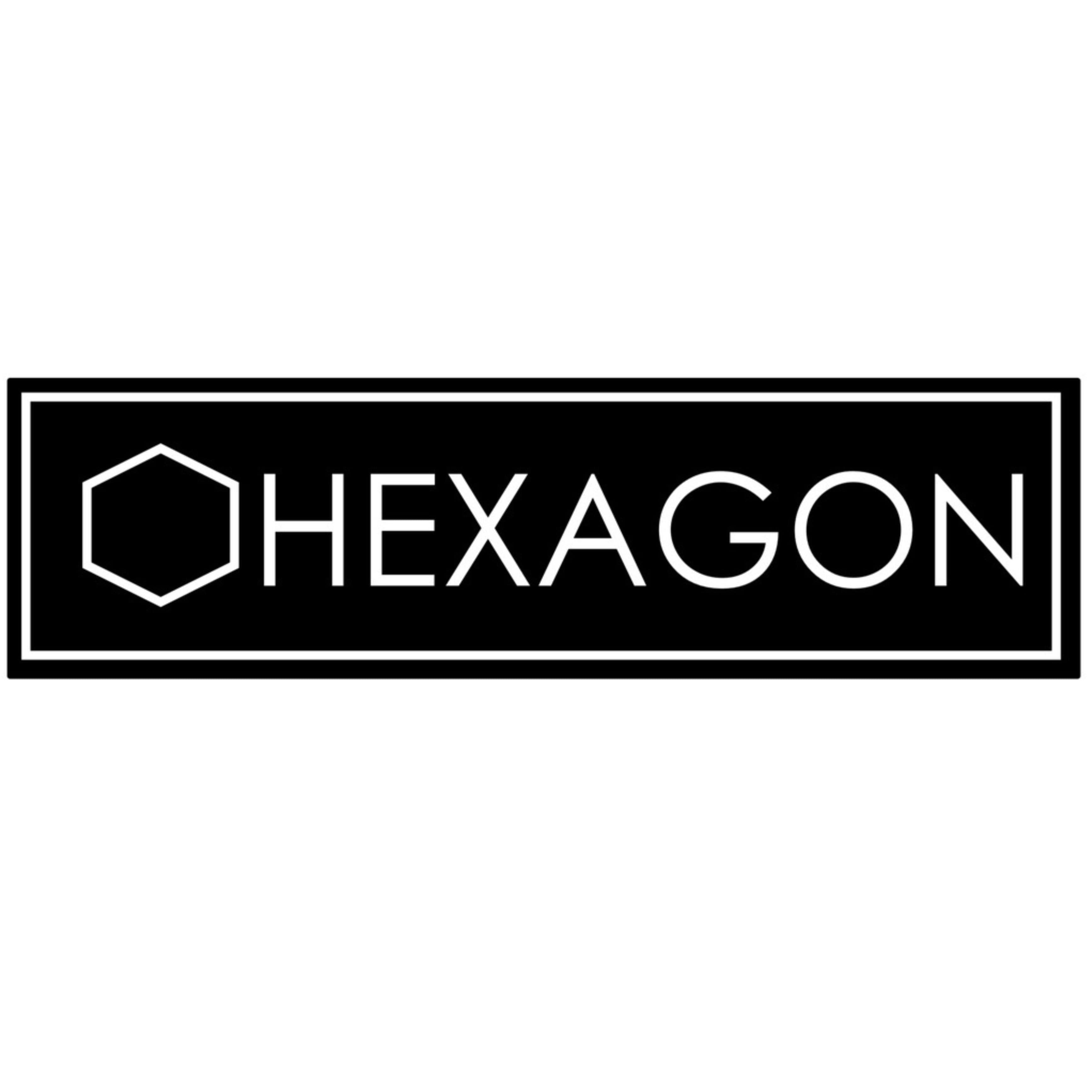 HEXAGON Holster logo