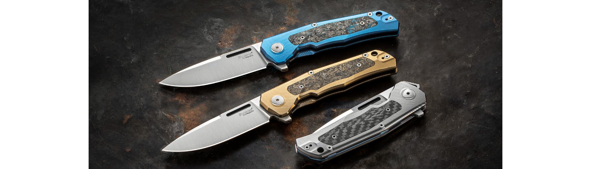 LionSteel S.a.s. di Pauletta Gianni M.D.