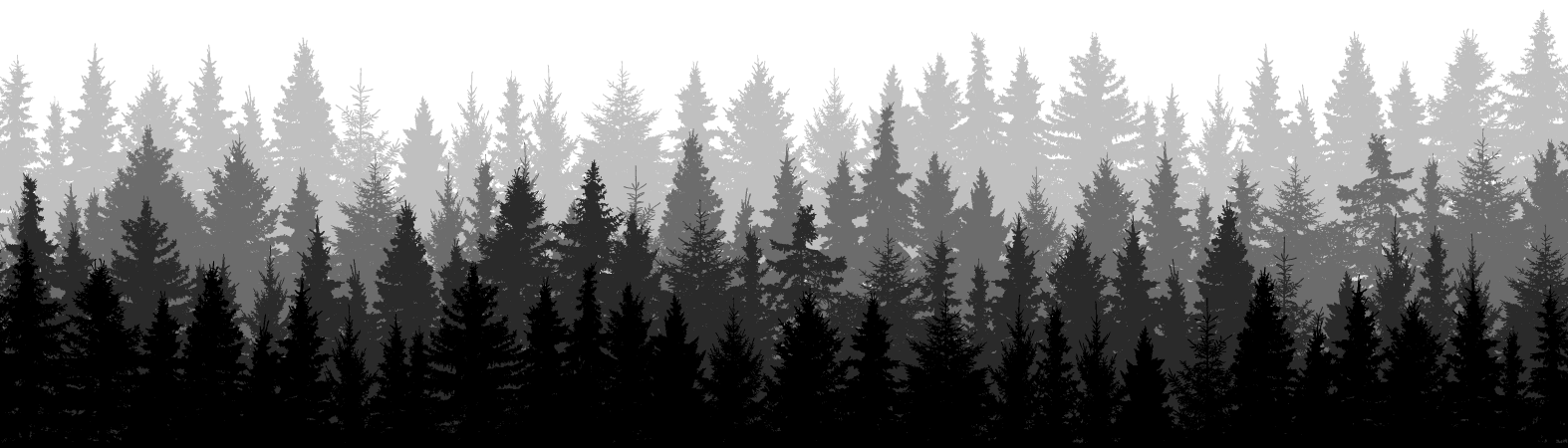 Walter Finkbeiner GmbH