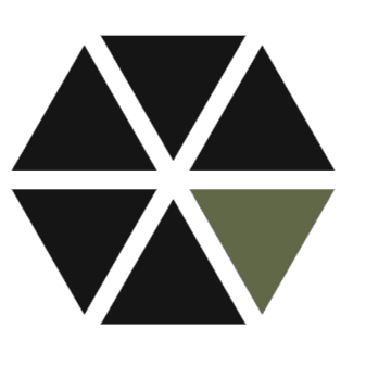 Oberon Systems GmbH logo