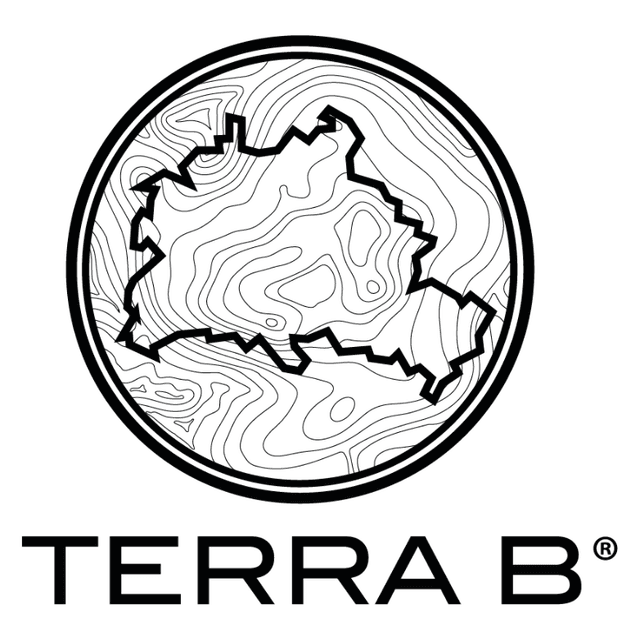 TERRA B GmbH logo