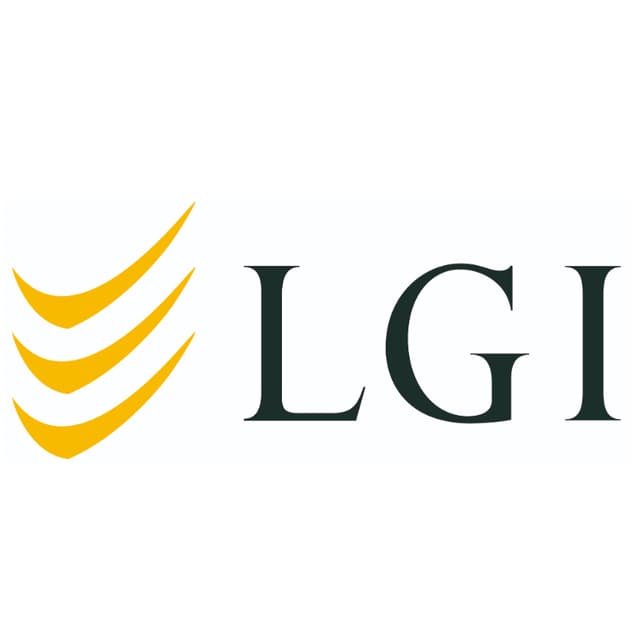 LGI Logistics Group International GmbH logo