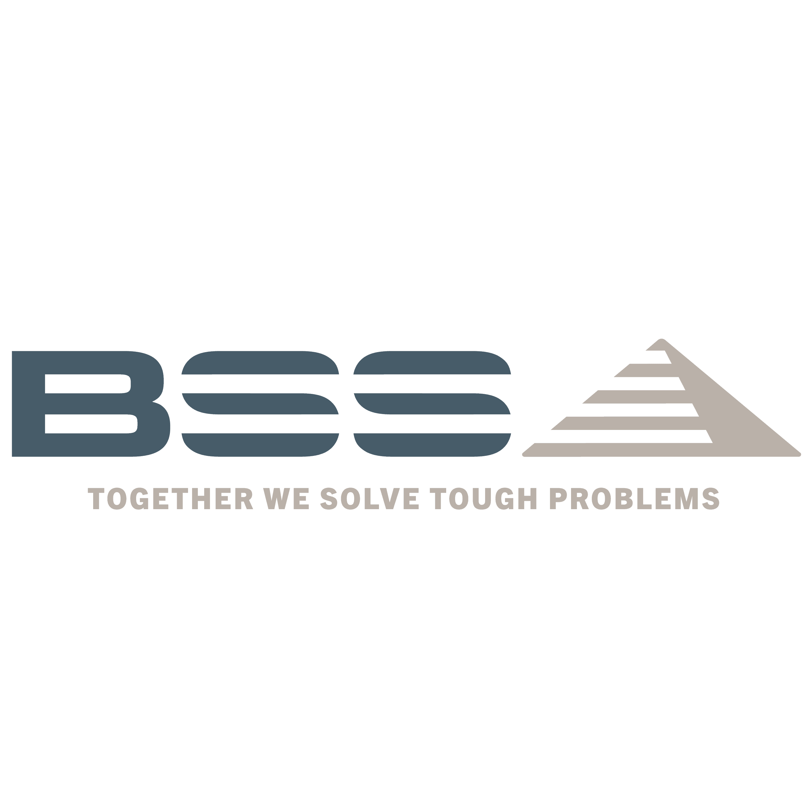 BSS Holland B.V. logo