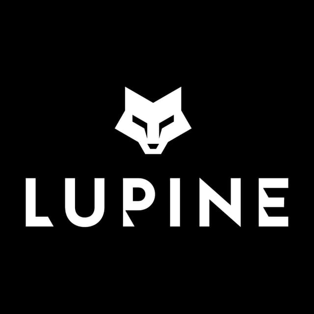 Lupine Lighting System GmbH logo