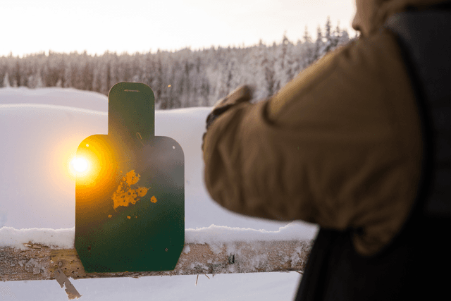 GOAST Target system | Product