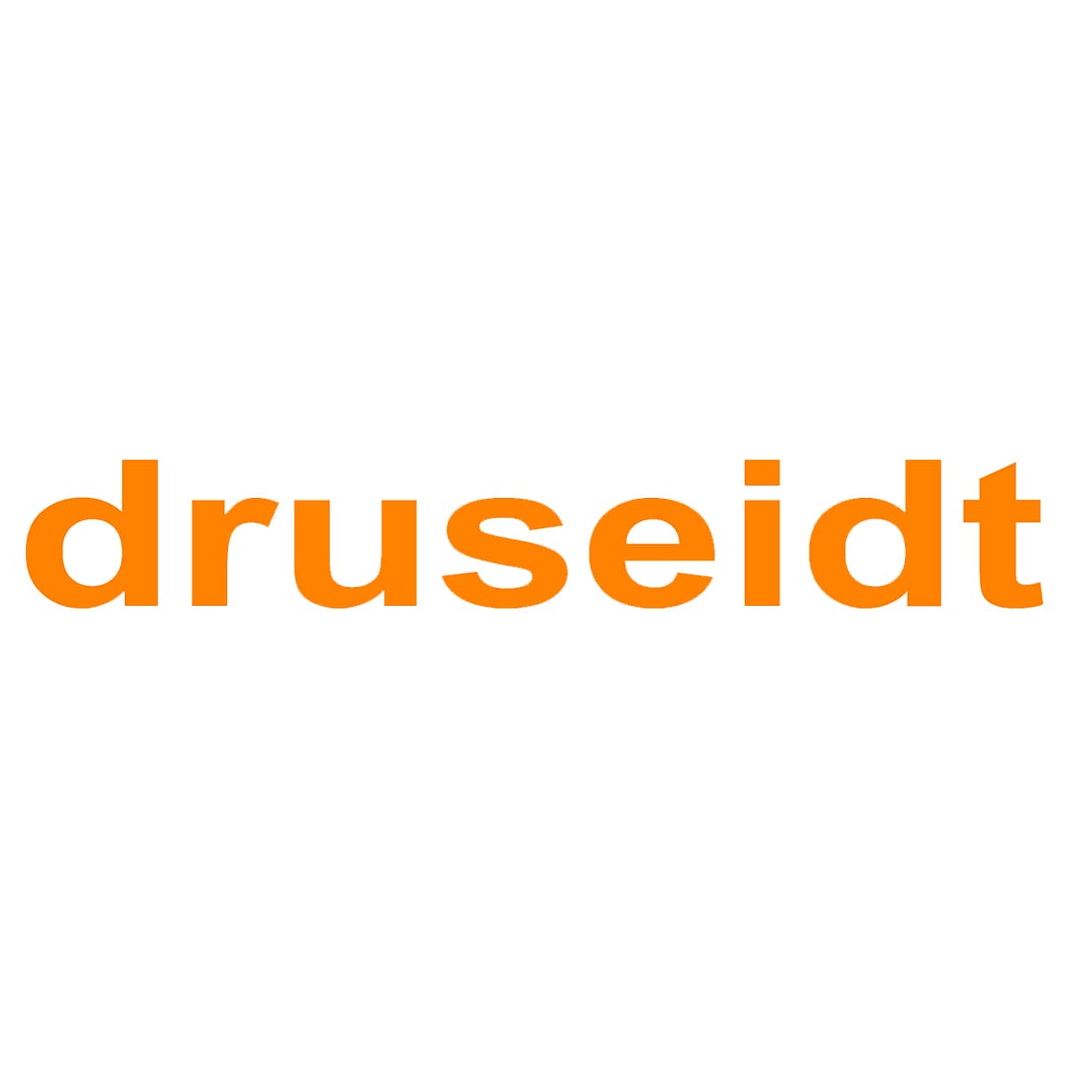 Paul Druseidt Elektrotechnische Spezialfabrik GmbH & Co. KG logo