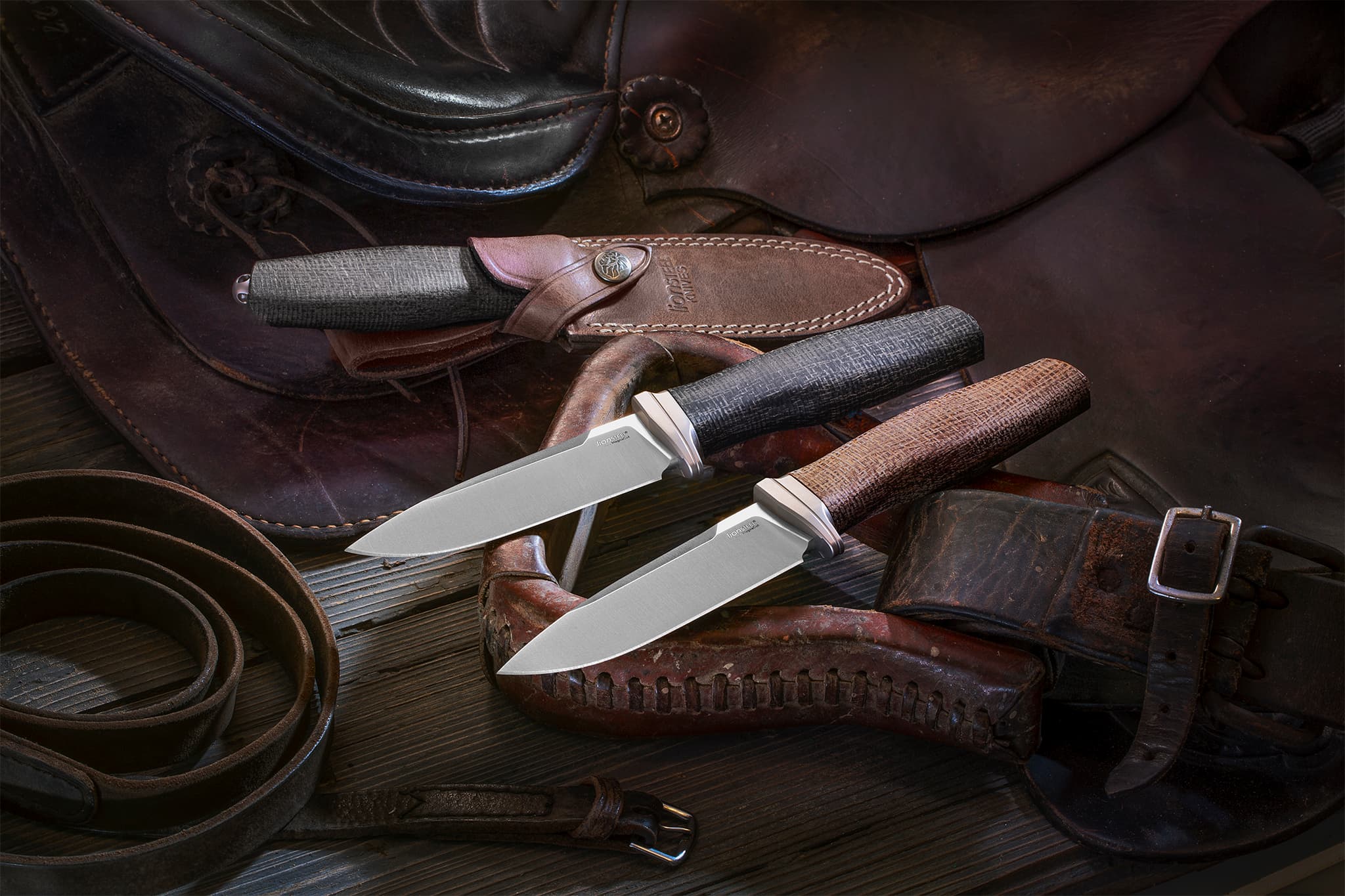 LionSteel S.a.s. di Pauletta Gianni M.D.