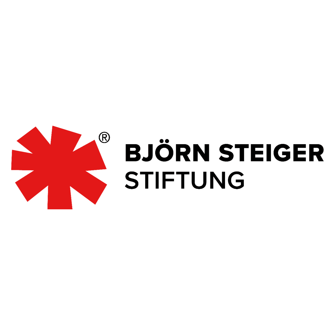 Björn Steiger Stiftung SdbR logo