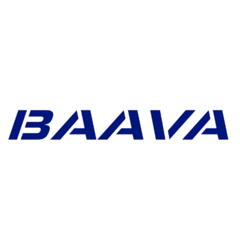 SARL VIGIP-BAAVA logo