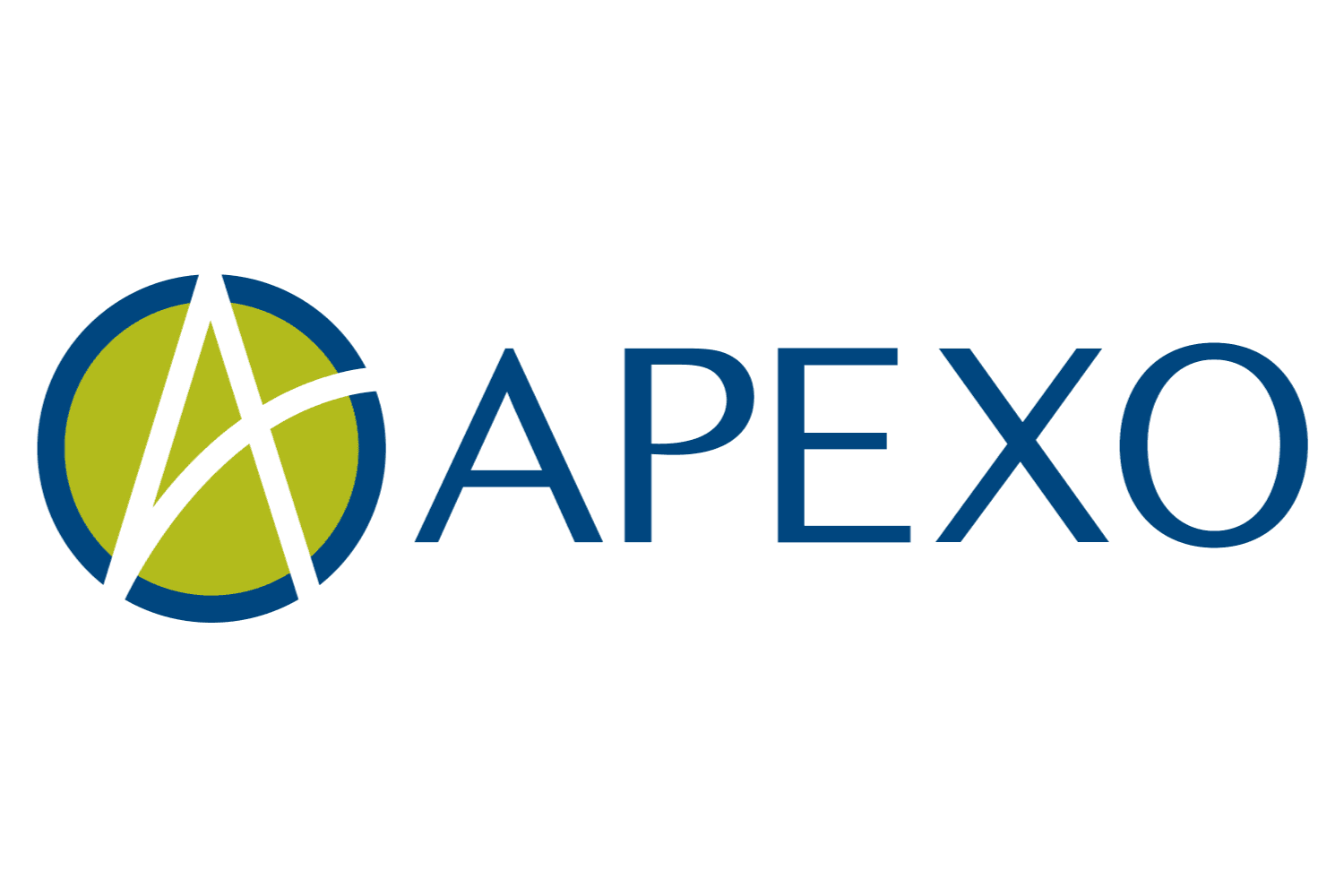 APEXO INC