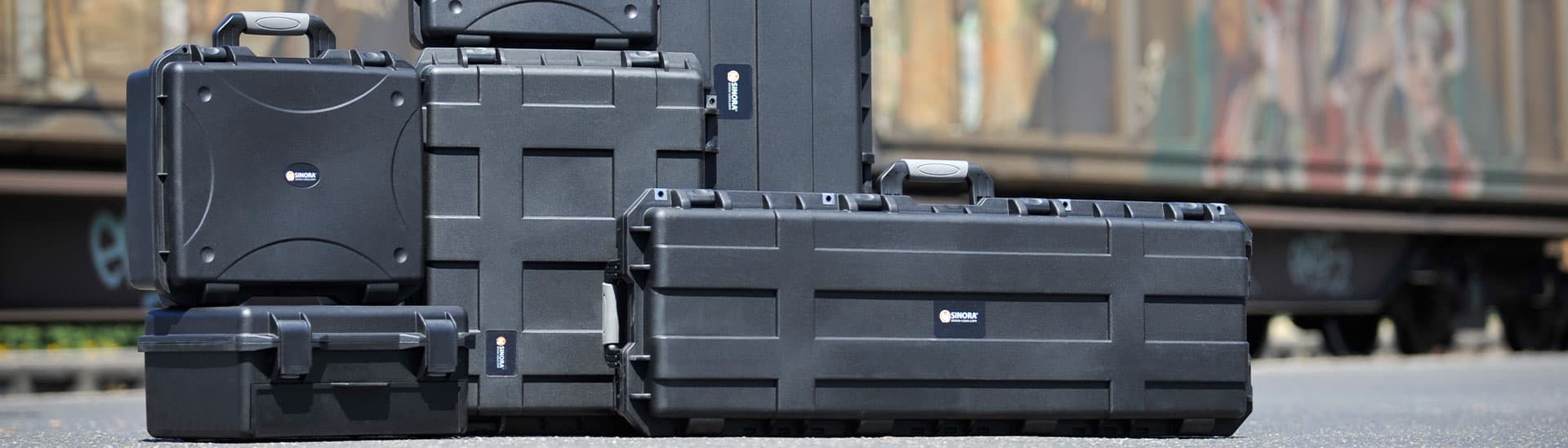 SINORA Cases