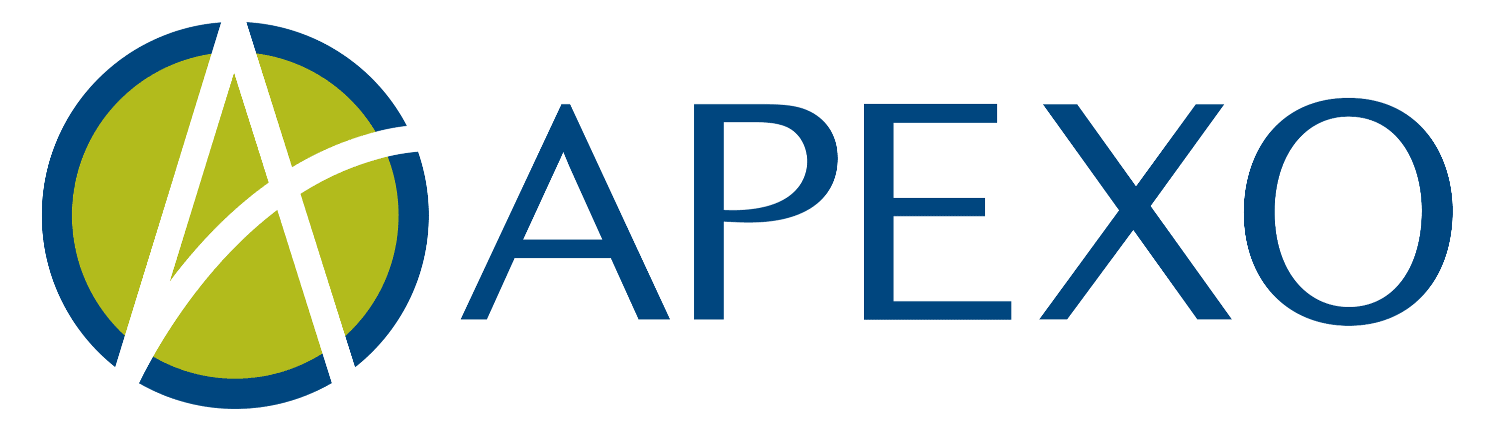 APEXO INC