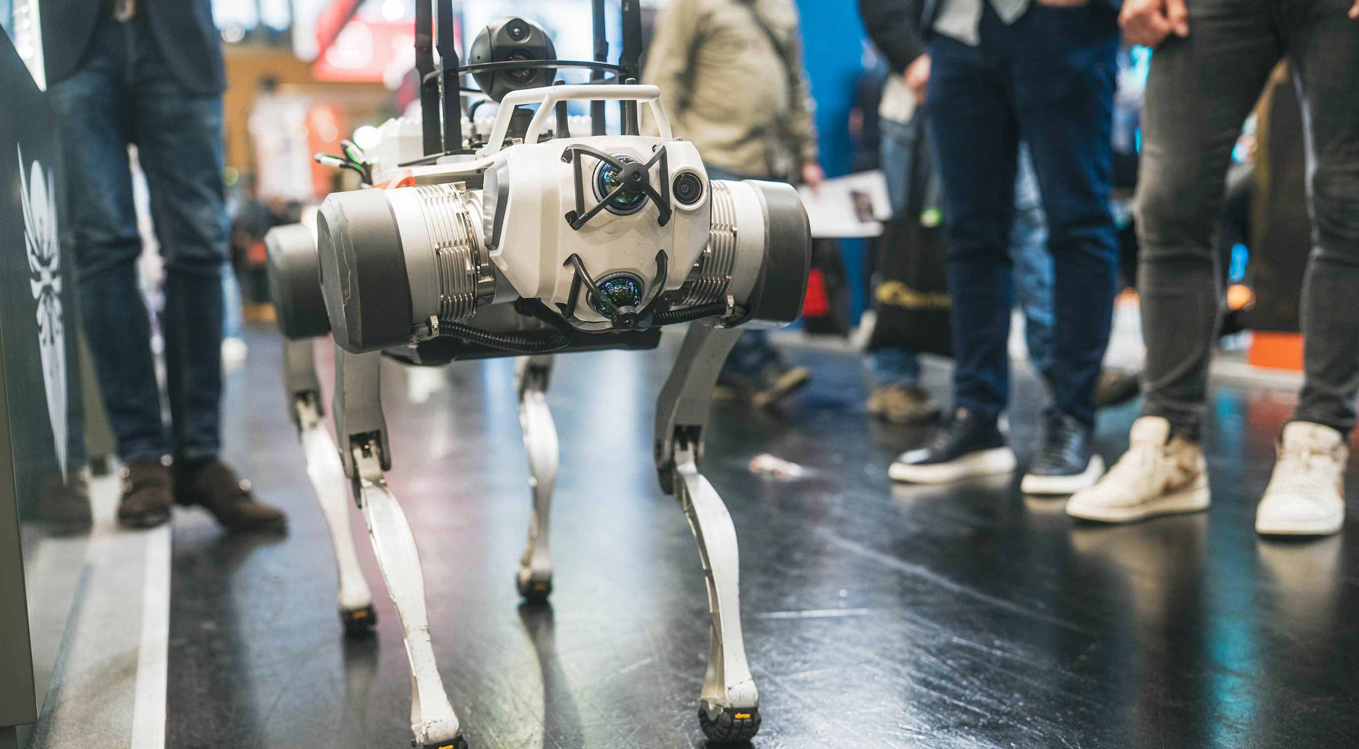 Robotic dog at a hall corridor