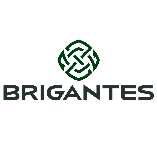 Brigantes logo