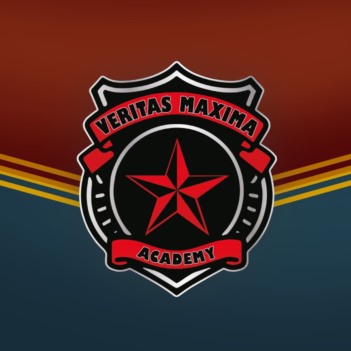 Veritas Maxima UG & Co.KG logo
