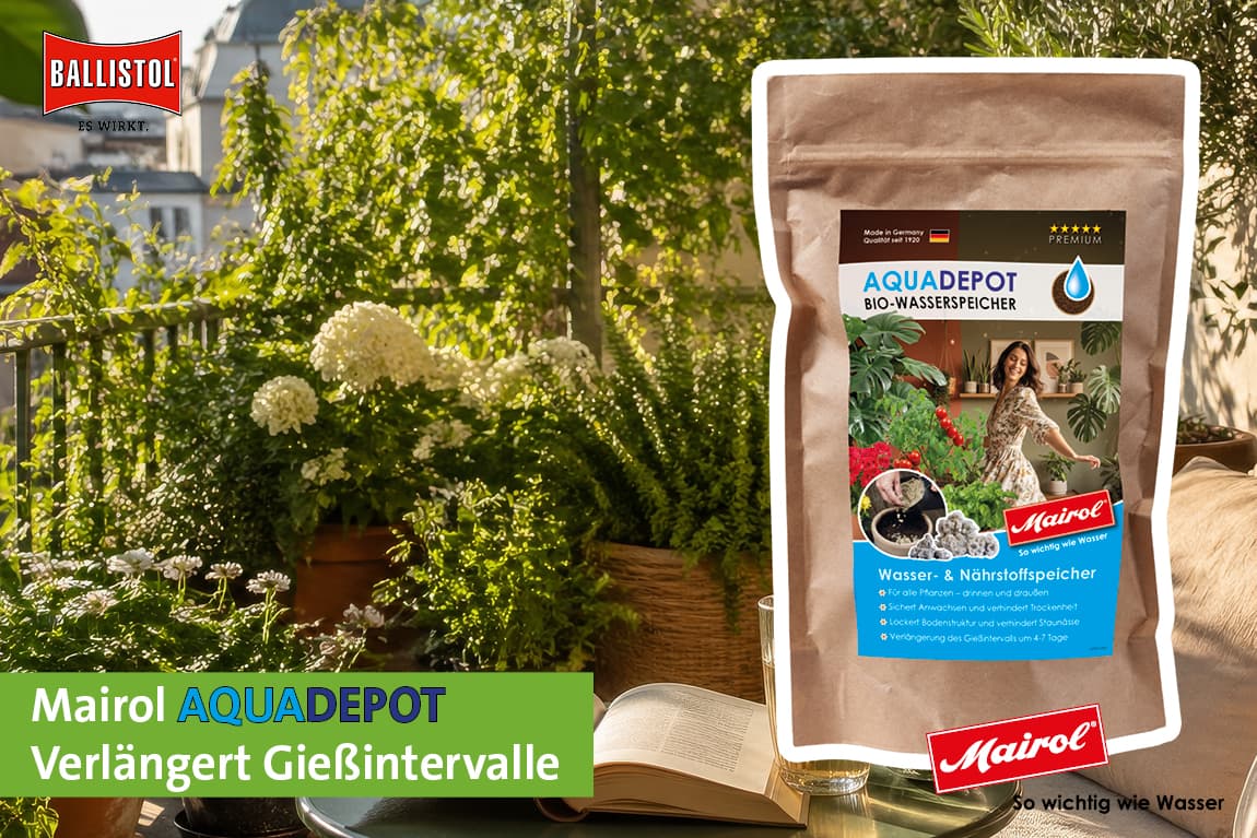 BALLISTOL GmbH