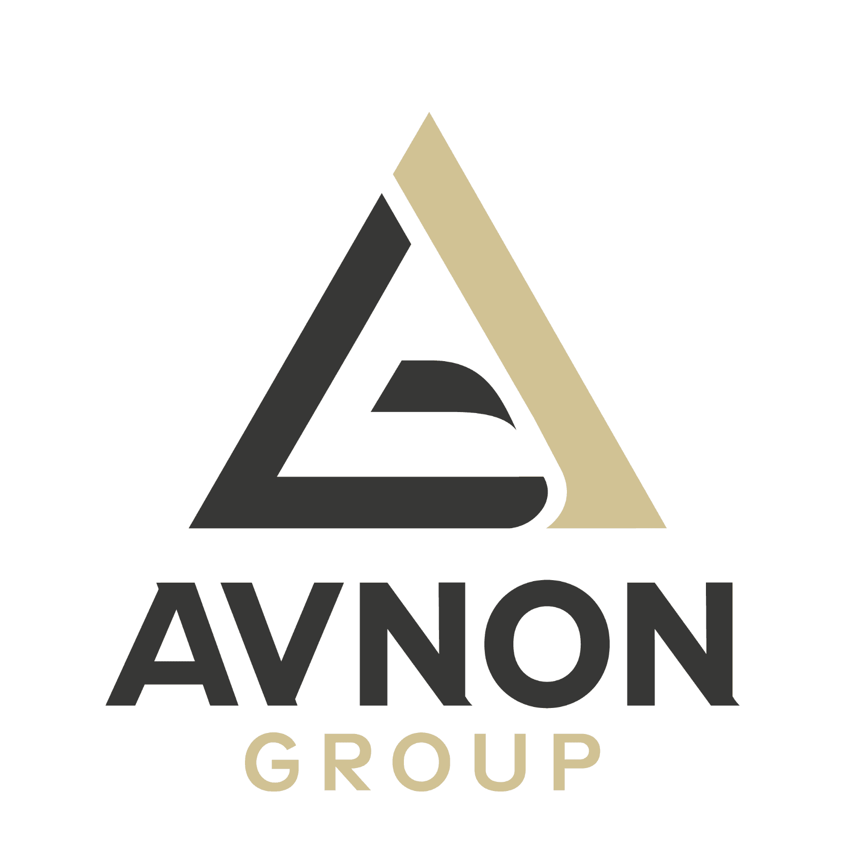 Avnon Group logo