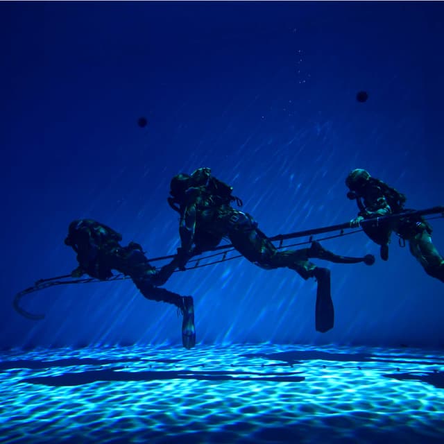 Diving Consultant Group logo