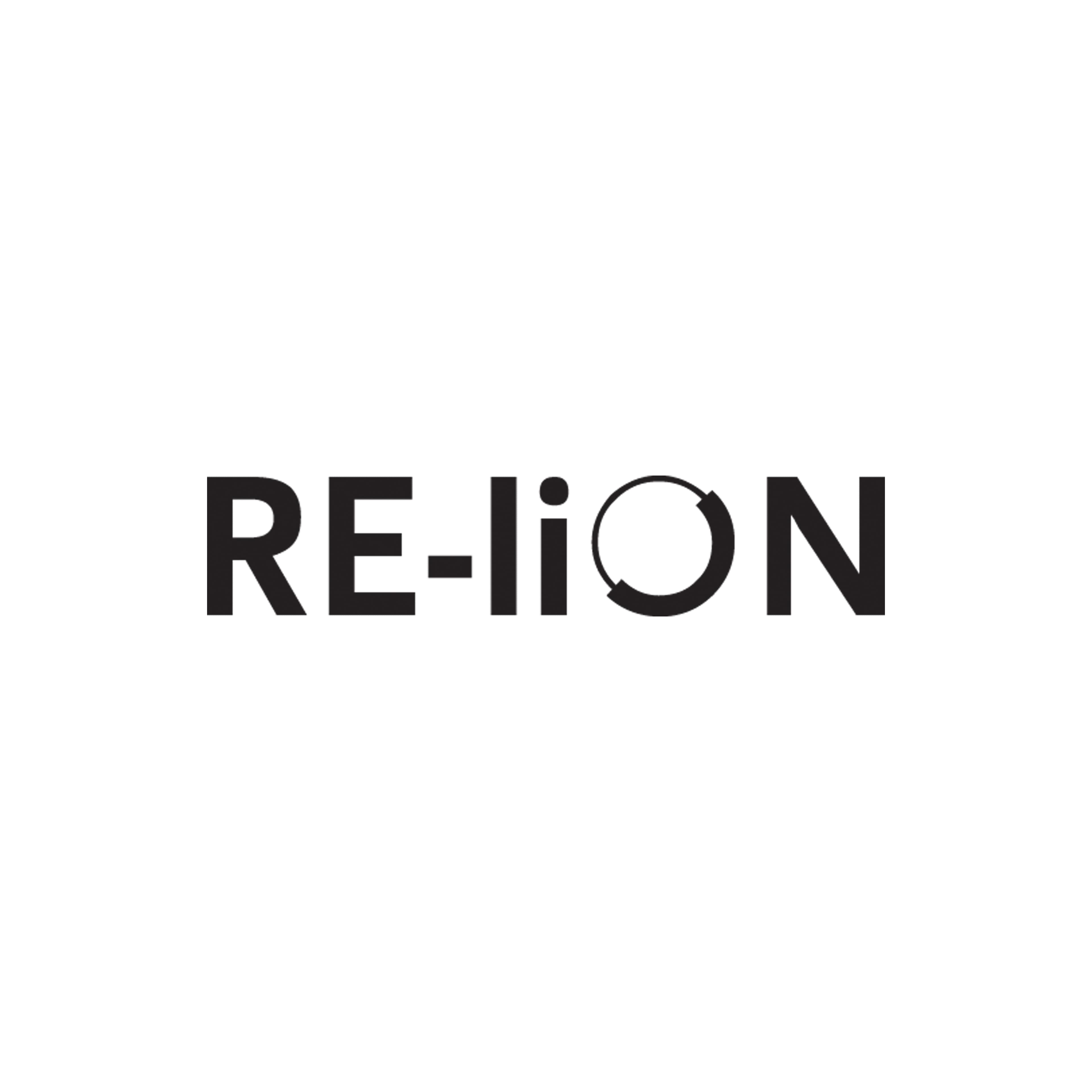 RE-LION GROUP BV logo