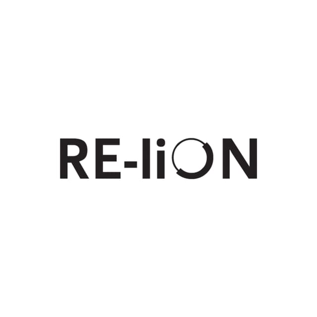 RE-LION GROUP BV logo