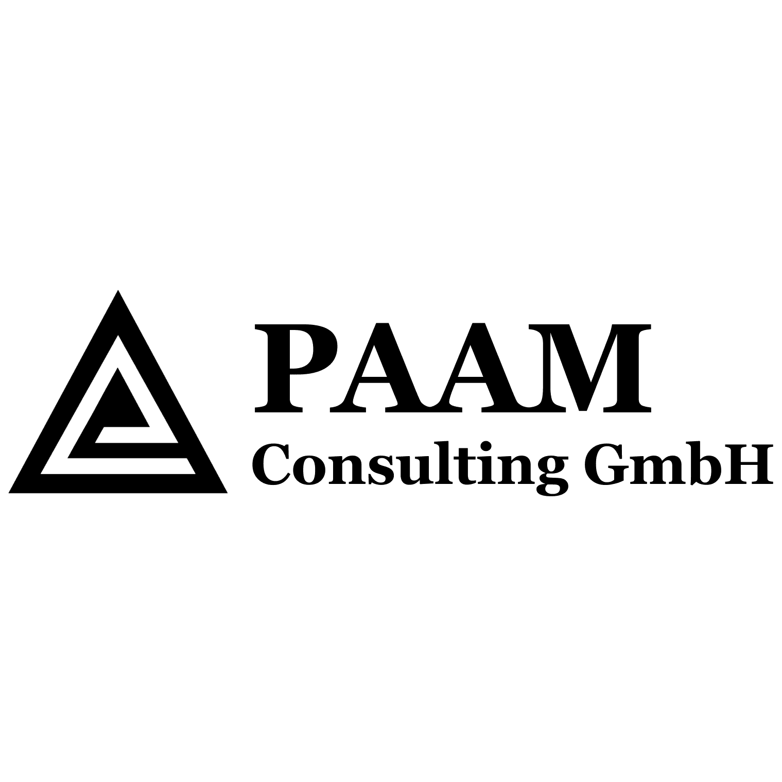 PAAM Consulting GmbH logo