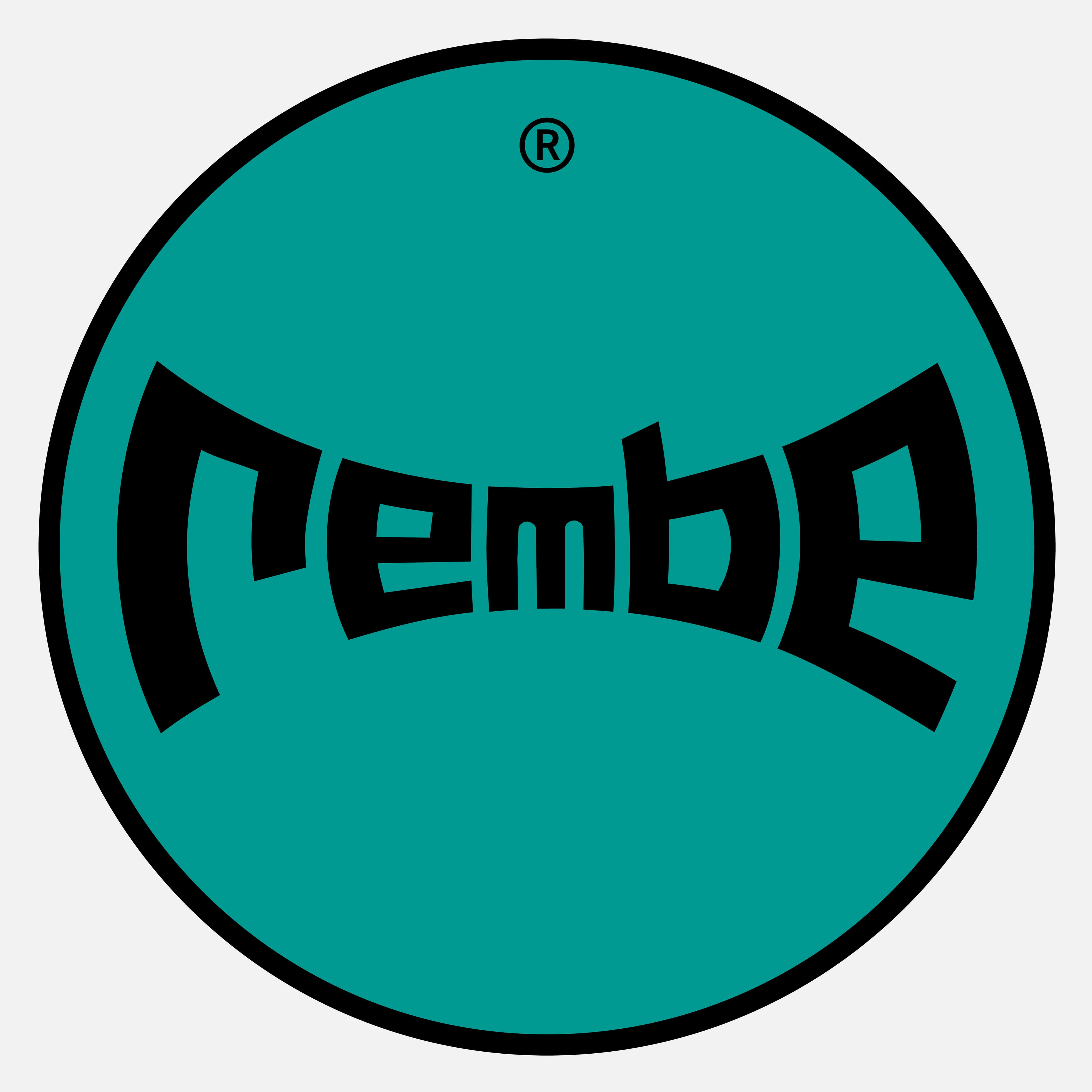 REMBE GmbH Safety+Control logo